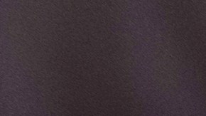 No es extraño que los hurones hagan vida en un hogar humano, pero no deja de ser una mascota inusual.