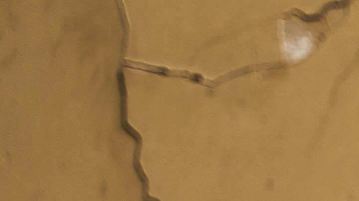 Ser una buena expareja se logra a través de decisiones personales, practicar la inteligencia emocional, la distracción diaria y el deseo de avanzar.