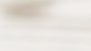 Las personas que consuman de estas paletas, siendo alérgicos o sensibles a la leche, tienen riesgo de "sufrir una reacción alérgica grave o potencialmente mortal".