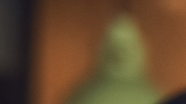 La hoja de laurel debes llevarla en un lugar secreto, como el zapato o la cartera, pero nunca a la vista.