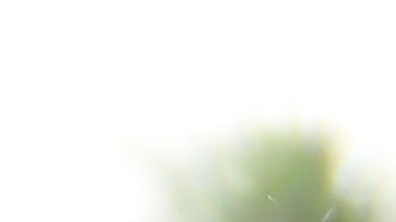 Aunque sean pequeños y pesen cerca de tres libras, un chihuahua tiene sus inconvenientes en casa.