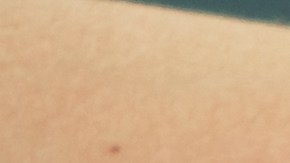 Jamás toques o intentes acariciar a un perro sin asegurarte de que serás bien recibido.