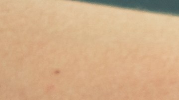 Jamás toques o intentes acariciar a un perro sin asegurarte de que serás bien recibido.