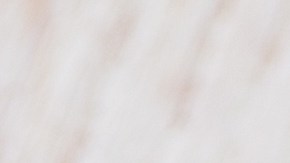 En su perfil nutricional, la sardina es poderosa en omega-3, vitamina E y calcio.