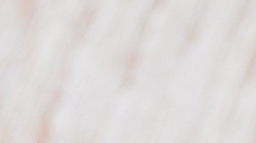 En su perfil nutricional, la sardina es poderosa en omega-3, vitamina E y calcio.