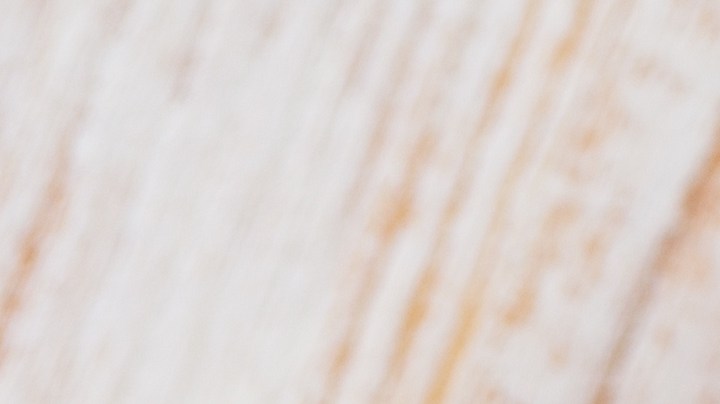 En su perfil nutricional, la sardina es poderosa en omega-3, vitamina E y calcio.