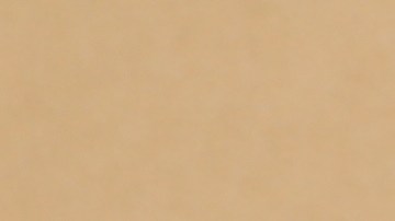 La esterilización tubárica hace referencia a las trompas de Falopio, dos tubos por donde se movilizan los óvulos hasta llegar al útero.