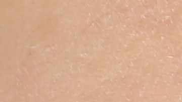 La yema es un elemento clave para saber si un huevo está contaminado con Salmonella.