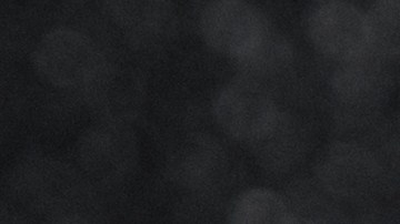 Cuando el jamón comienza a descomponerse, arroja señales que puedes apreciar antes de consumirlo.