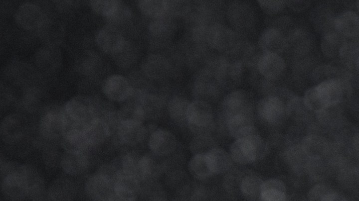 Cuando el jamón comienza a descomponerse, arroja señales que puedes apreciar antes de consumirlo.