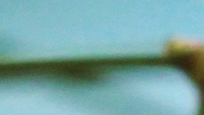 Aunque la mayoría de beneficios son para la piel, la loción de magnesio también funciona para que duermas mejor.