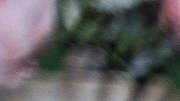 Si le pides que abandone el grupo de WhatsApp, podría sentirse invadido, pero si realmente es lo que deseas, no dudes en proponerlo.