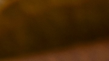 Es aconsejable que las hojas no estén secas, marchitas ni rotas. Deben ser grandes y bonitas.