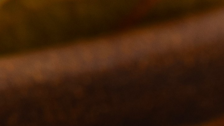 Es aconsejable que las hojas no estén secas, marchitas ni rotas. Deben ser grandes y bonitas.