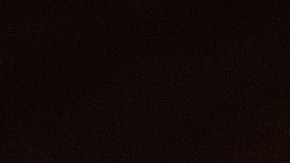 La melisa también se conoce como toronjil o bálsamo de limón, debido a su potente aroma.