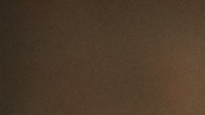 Compartir con un perro reduce el estrés y aumenta las actividades físicas, lo que es saludable para el corazón.