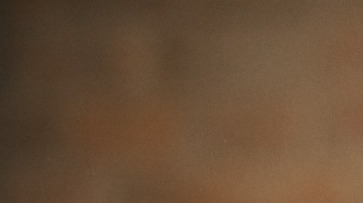 Compartir con un perro reduce el estrés y aumenta las actividades físicas, lo que es saludable para el corazón.