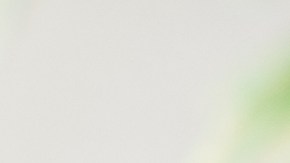 La falta de atención, la impulsividad, desorganización para establecer prioridades y la poca capacidad para administrar el tiempo, son los principales síntomas del TDAH.