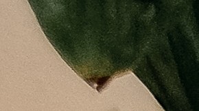 Los cuencos cantores de Himalaya es el instrumento que suele utilizarse para el "baño de sonido".