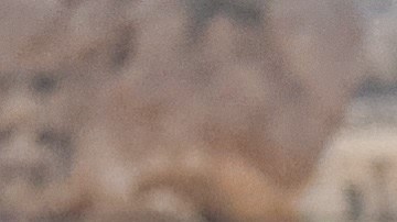 Frío o caliente, el té de menta es una opción deliciosa y saludable durante el desayuno.