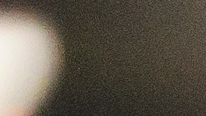 Ir al gimnasio con un compañero de entrenamiento siempre es motivacional, así que encuéntralo.