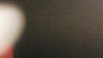 Ir al gimnasio con un compañero de entrenamiento siempre es motivacional, así que encuéntralo.