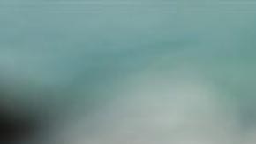 Una taza de frijoles negros, sueltos o en caldo, será suficiente para saciarte toda la tarde.