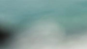 Una taza de frijoles negros, sueltos o en caldo, será suficiente para saciarte toda la tarde.