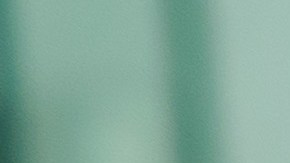 Expertos decidieron investigar los baños, ya que los microorganismos prefieren ambientes con agua, siendo el baño el lugar más óptimo.