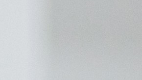 La infección por E. coli puede causar problemas gastrointestinales que se manifiestan rápidamente.