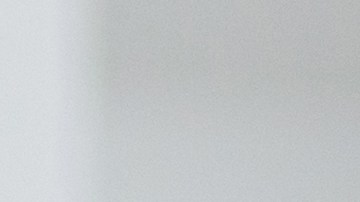 La infección por E. coli puede causar problemas gastrointestinales que se manifiestan rápidamente.