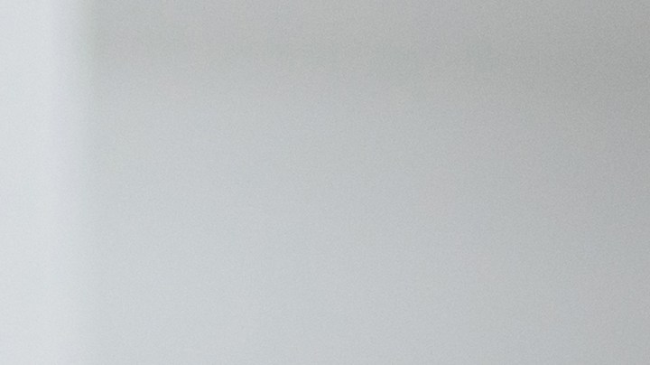 La infección por E. coli puede causar problemas gastrointestinales que se manifiestan rápidamente.