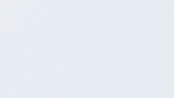 Los posos de café son la base para el remedio casero contra plagas, como zancudos, moscas y cucarachas.