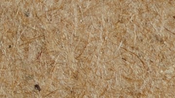 Las ratas y ratones son capaces de escabullirse por cualquier agujero, por lo que es necesario taparlos.