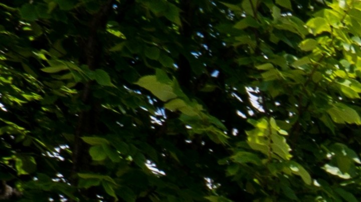 La FDA detectó las posibles contaminaciones luego de pruebas de rutina a los productos e instalaciones.