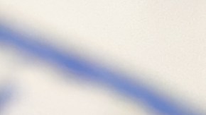 El salmón ahumado retirado del mercado viene en paquetes gemelos de 12 onzas, con fecha de vencimiento del 13 de noviembre de 2024.