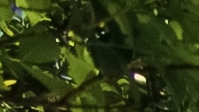 Es comprensible que quieras hacerle mejoras a tu hogar, pero nunca desestimes la posibilidad de que en un futuro quieras vender la propiedad.