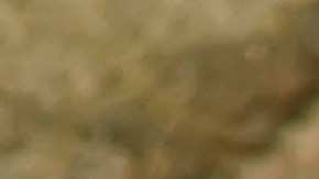 Los snacks que promueven la salud intestinal y que tienen sabores agradables, son prácticamente perfectos.