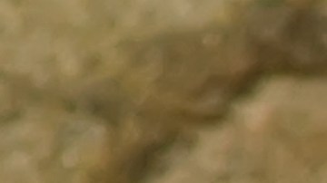 Los snacks que promueven la salud intestinal y que tienen sabores agradables, son prácticamente perfectos.