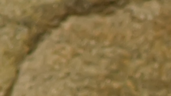 Los snacks que promueven la salud intestinal y que tienen sabores agradables, son prácticamente perfectos.