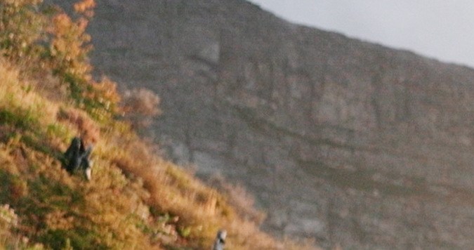 Práctica actividades fisicas para mejorar tu salud mental.