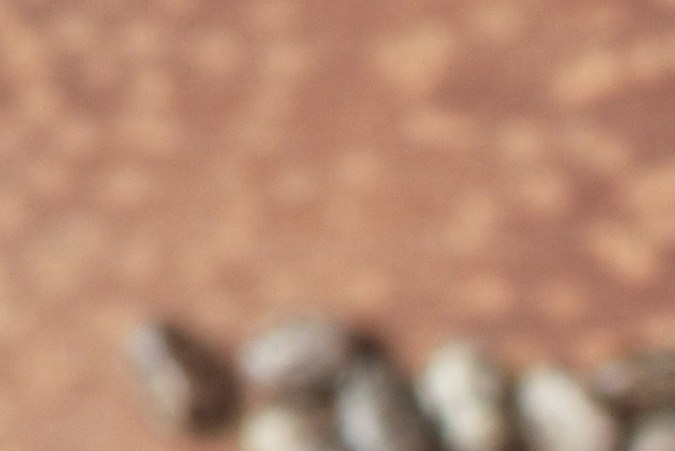 Las semillas de chía es uno de los alimentos más recomendados en la actualidad.