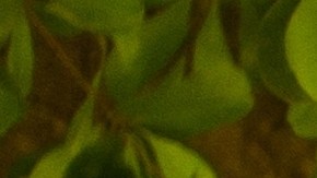 Caminar con tus amistades también es positivo para tu salud mental, además de brindarse motivación para el hábito diario.