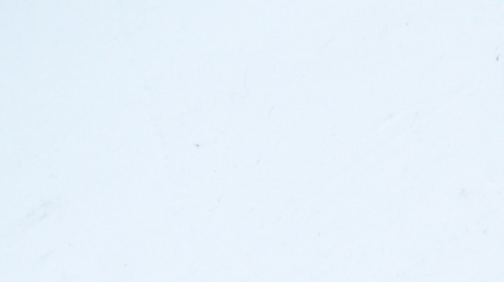 Cuando no aspiras los pisos de tu casa, sino que solo barres, es probable que dejes algunos rastros de polvo en los rincones.