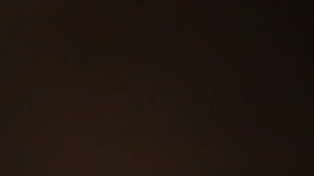 Al menos una vez al día, es fundamental que laves el tazón de tu mascota, tanto de comida como de agua.