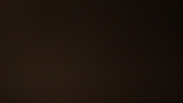 Al menos una vez al día, es fundamental que laves el tazón de tu mascota, tanto de comida como de agua.