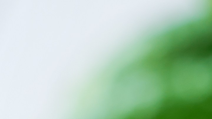 Las ensaladas de pepino son las más fáciles de preparar gracias a una receta de Tik Tok.