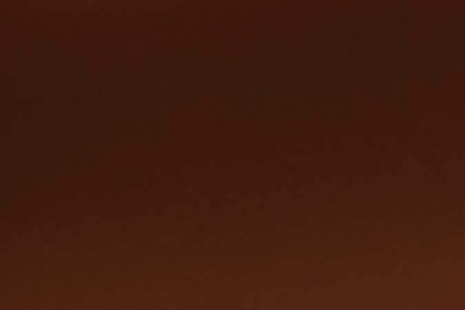 El aceite de romero fortalece las hebras capilares desde las raíces.