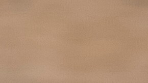 El cáncer de colon y el pan blanco tienen una relación directa según una investigación.