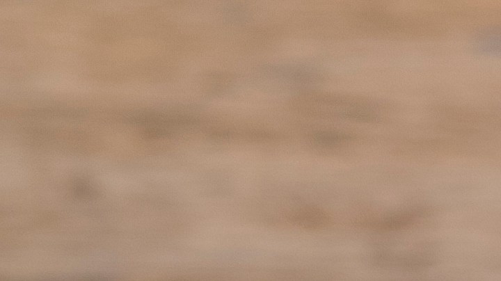 El cáncer de colon y el pan blanco tienen una relación directa según una investigación.